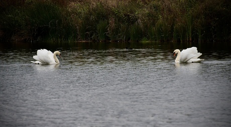 We komen samen