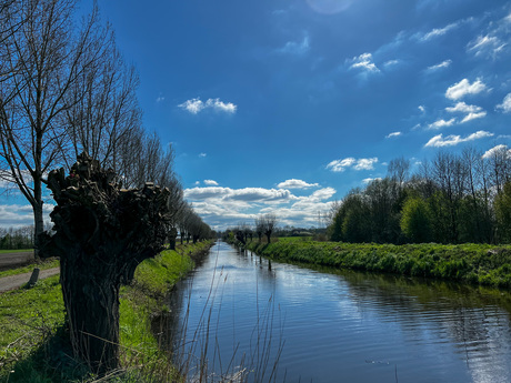 De polder