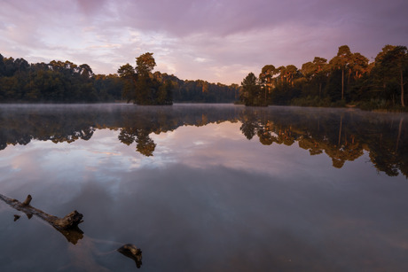 Weerspiegeling bij Oisterwijkse bossen en vennen 