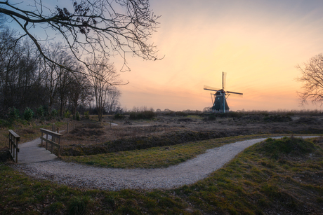 De Zaandplatte.