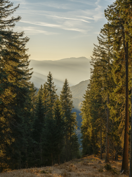 Als het dan toch herfst is........