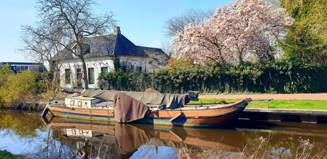 Bootje