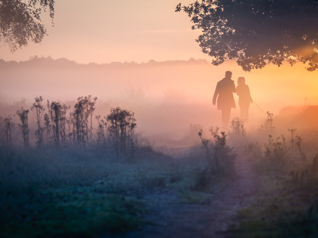 Misty morning 🧡