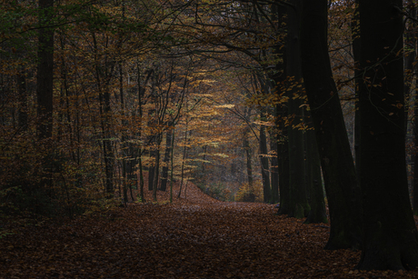 Herfst een mooie periode