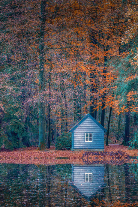 Huis in het bos