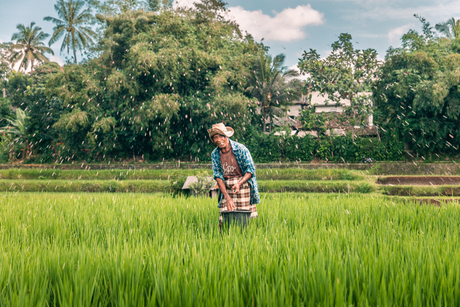 Prachtige mensen in Indonesië