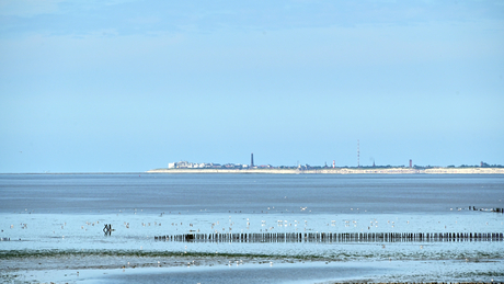 Het Groninger Wad