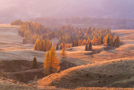 Strijklicht over de Dolomieten