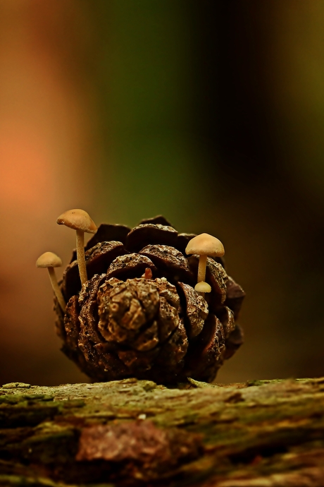 Klein, kleiner, kleinst.