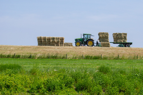 Vakantie niet voor iedereen