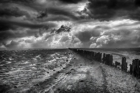 Waddenkust