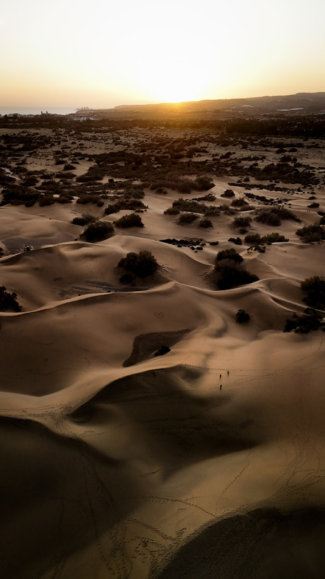 Sunset Dunes