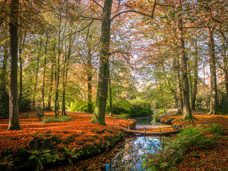 herfst in drnethe