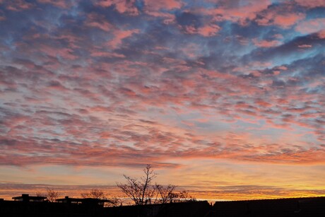 20251201 082003 Naaldwijk wordt Wakker op 1 Dec 2025