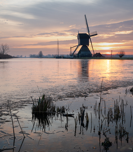 Kinderdijk met ijs