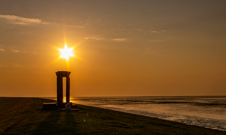 Goudenuurtje  bij monument Kaap Noord