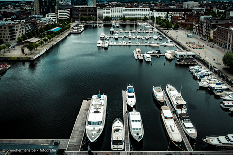 Het Willemdok Antwerpen