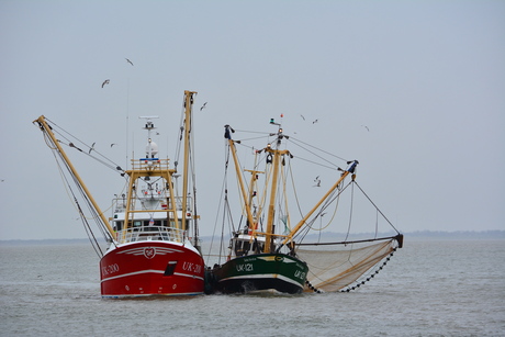 Vissersboten uit Urk , de groene werd ondersteund door de rode boot.