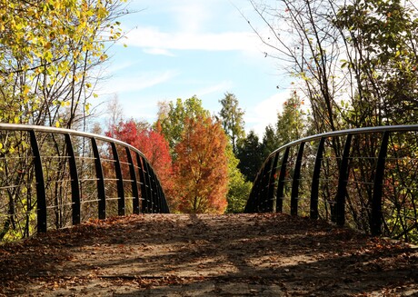 Brug naar de herfstkleuren