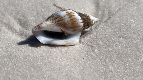 Hervey Bay - Australië