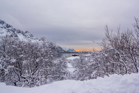 Noorwegen winterlandschap Lofoten