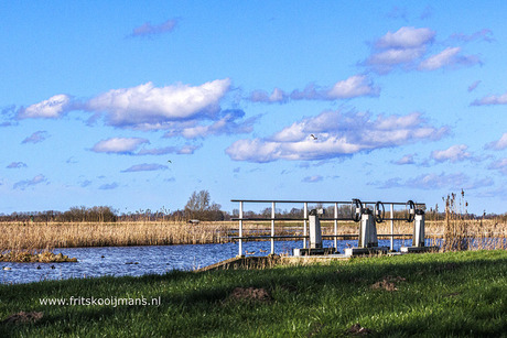 Sluis  in retentiegebied  in Smalle Ee