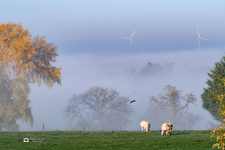 Mistig landschap.