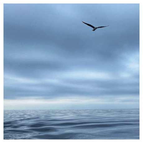 One day I’ll fly away