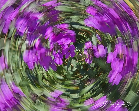 Draaikolk van bloemen