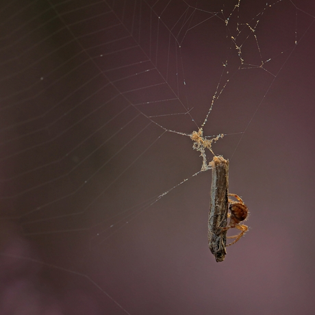 Inpakken en .........