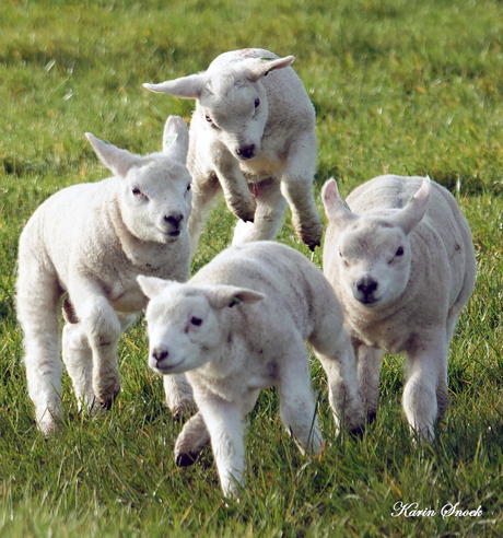 "Everybody JUMP...JUMP...."