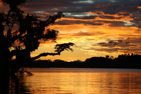 Zonsondergang Amazone