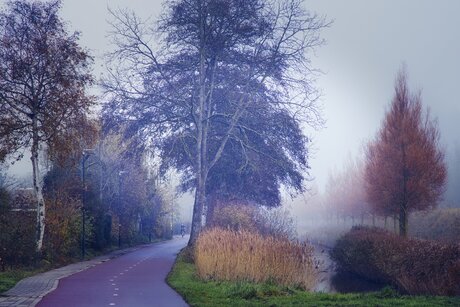 Mist in de herfst