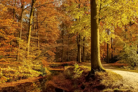 Twickel in de herfst