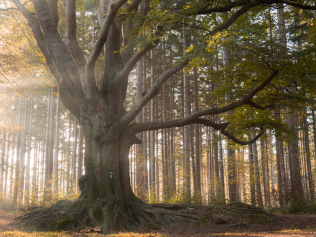 Tijd voor de herfst