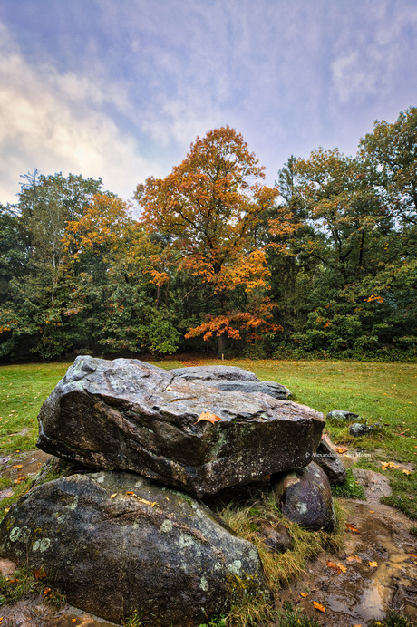 Eerste herfstkleuren