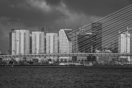 Rotterdam