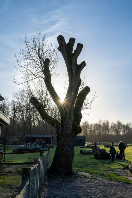 Testfoto's met nieuwe Nikon Zf camera en Nikon 40mm f/2.0