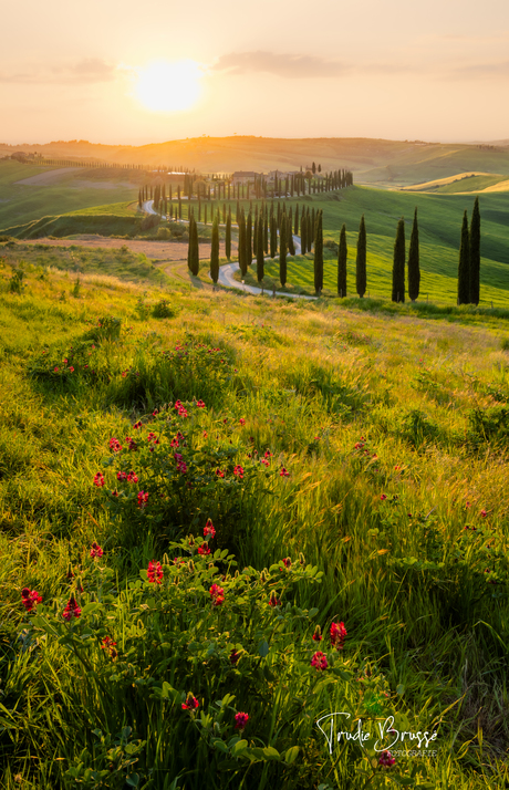 Toscane 