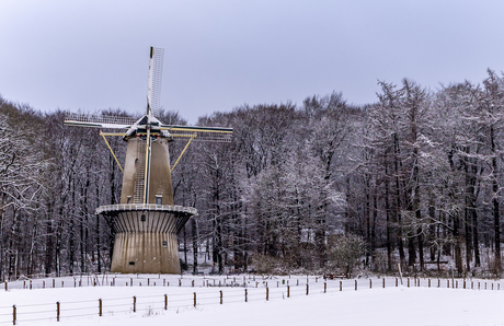 de winterse molen 