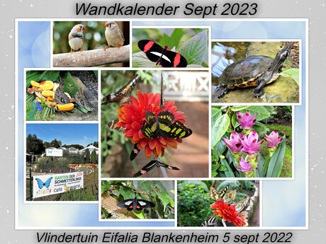 Collage Wandkalender  Sept 2023 . Fotos  Vlindertuin  Eifalia in de Eifel  op 5 sept  2022  