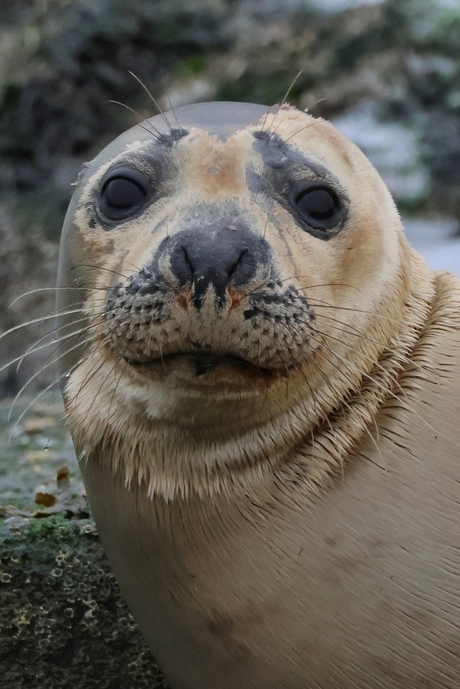 Are you looking at me?