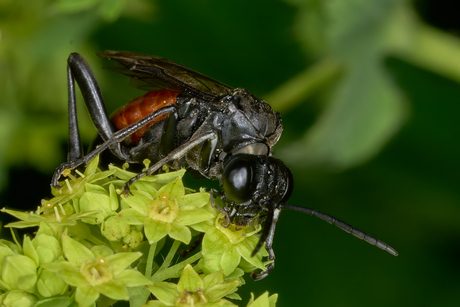 Tijd voor wat lekkers
