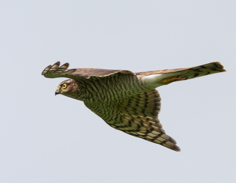 Zo ben ik nog mooier