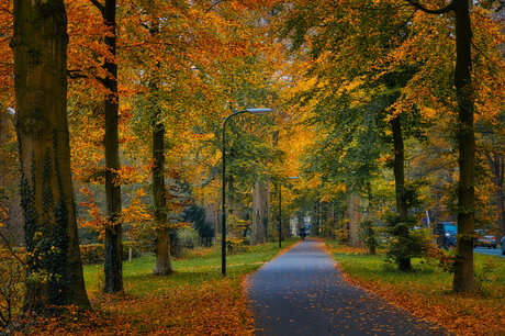 herfst fiets pad