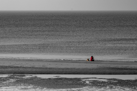 Waar de zee wat terugfluisterde