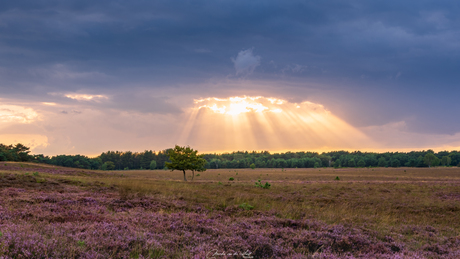 Zonsondergang 