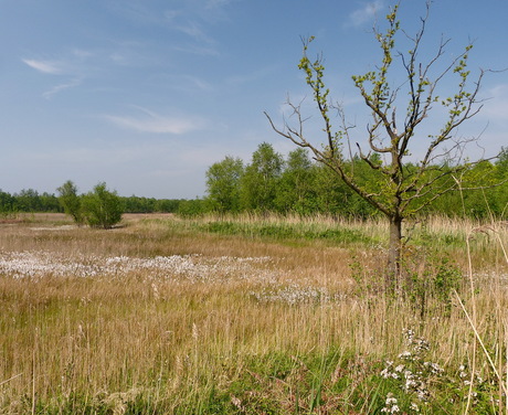 Natuurmonumenten.