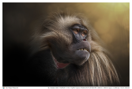 Mirror mirror on the wall who is prettiest of them all ?