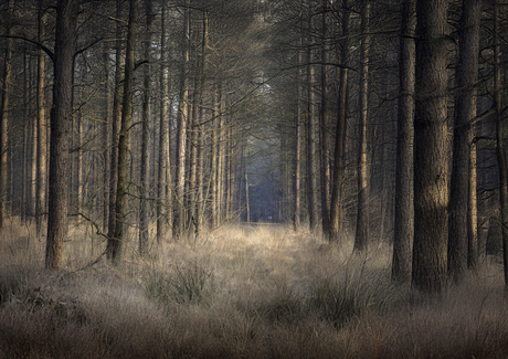 En dan breekt de zon door, ...